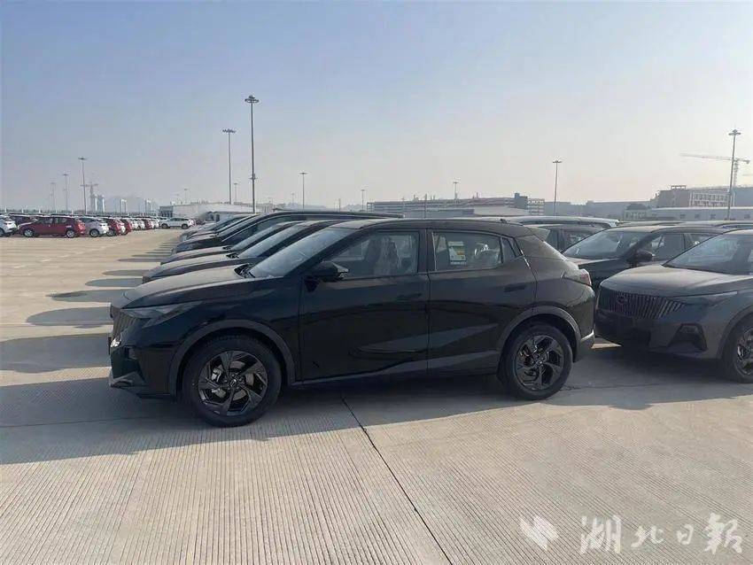 级景区！ 2025荆州马拉松开启报名→凯发k8娱乐唯一荆州新增一个国家4A(图6)